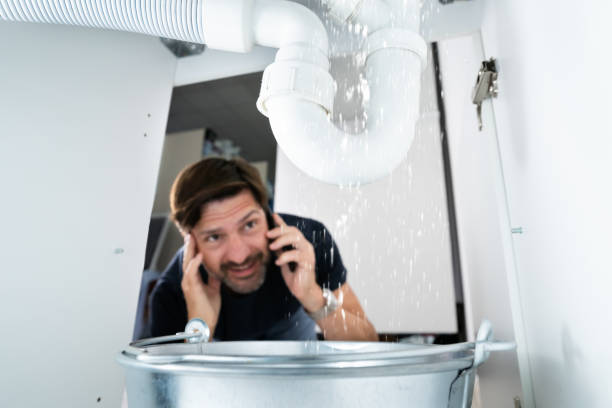 Best Plumbing Repair Near Me  in Laurens, SC
